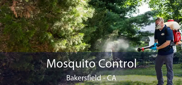 Mosquito Control Bakersfield - CA