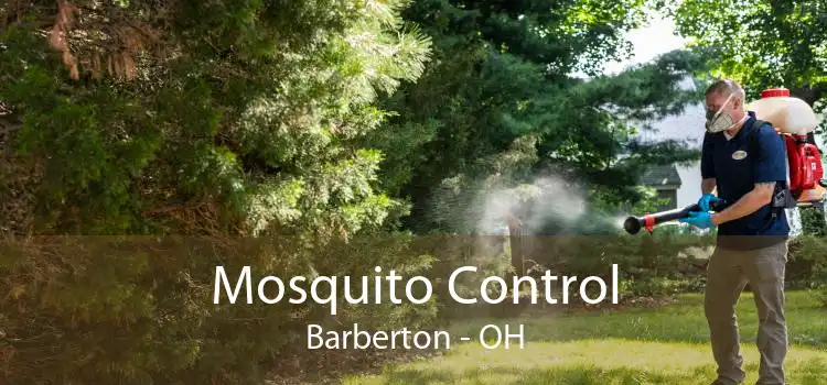 Mosquito Control Barberton - OH