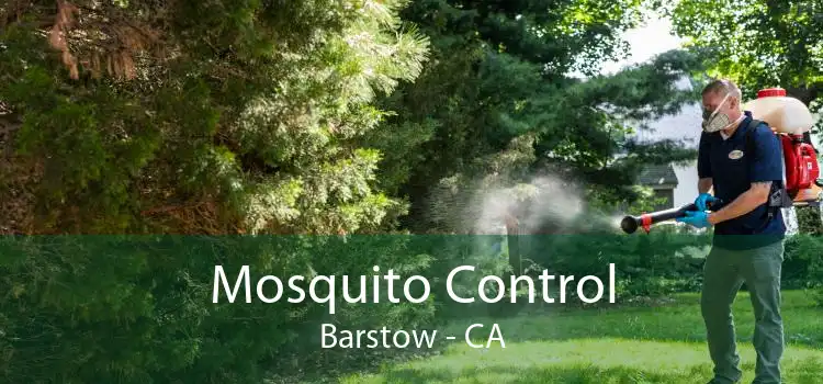 Mosquito Control Barstow - CA
