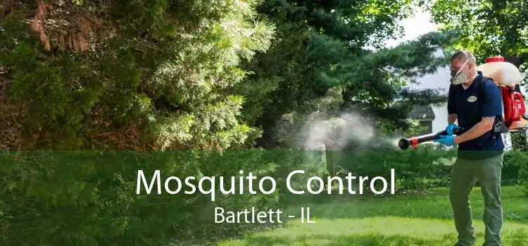 Mosquito Control Bartlett - IL