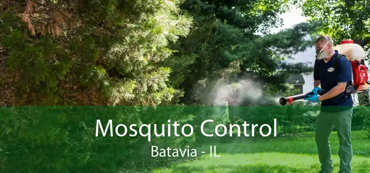 Mosquito Control Batavia - IL