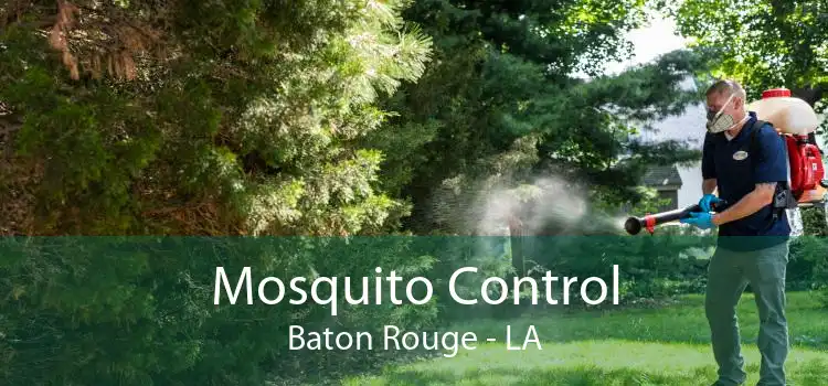 Mosquito Control Baton Rouge - LA