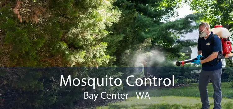 Mosquito Control Bay Center - WA