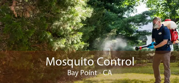 Mosquito Control Bay Point - CA