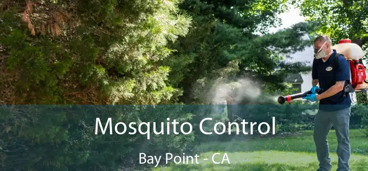 Mosquito Control Bay Point - CA