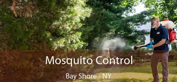  Mosquito Control Bay Shore - NY