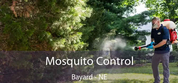 Mosquito Control Bayard - NE