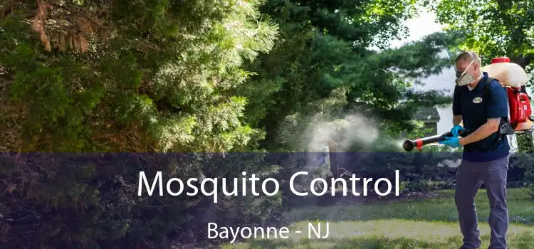  Mosquito Control Bayonne - NJ