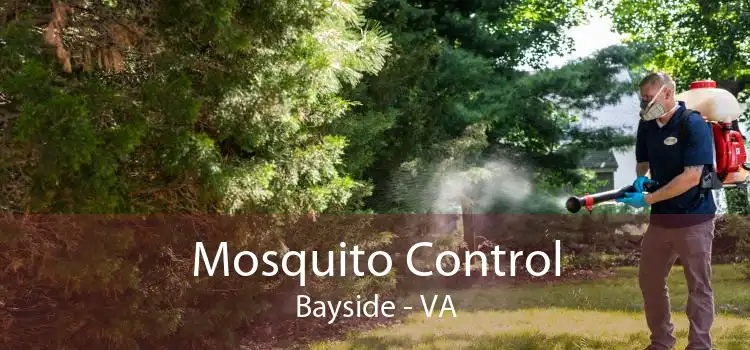 Mosquito Control Bayside - VA