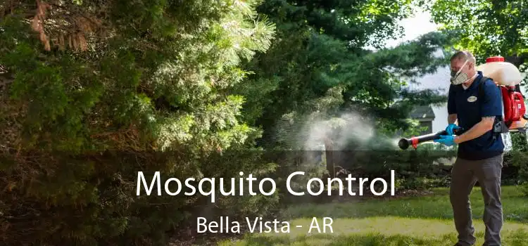  Mosquito Control Bella Vista - AR