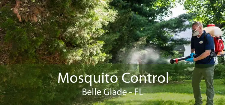 Mosquito Control Belle Glade - FL