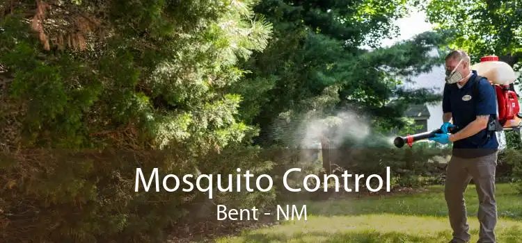 Mosquito Control Bent - NM