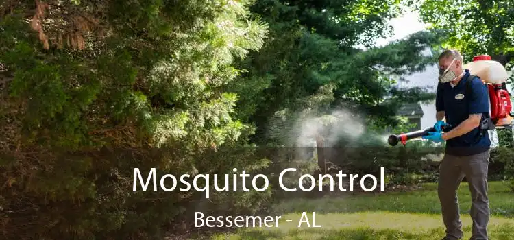  Mosquito Control Bessemer - AL