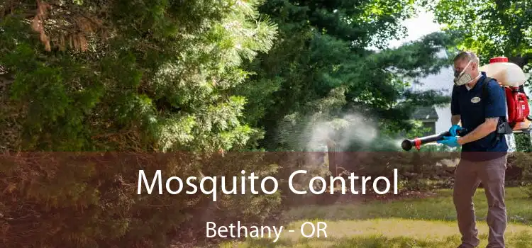  Mosquito Control Bethany - OR