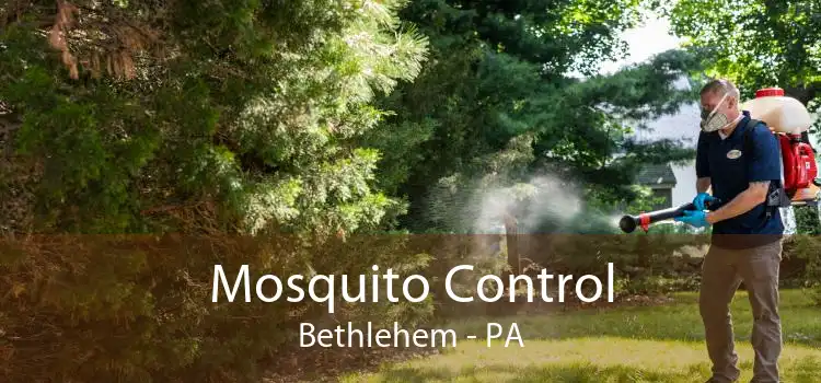 Mosquito Control Bethlehem - PA