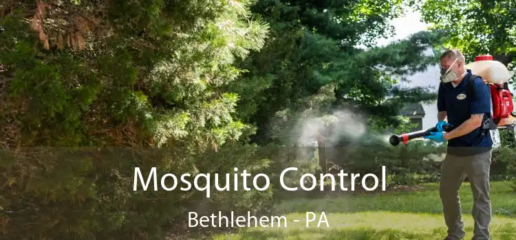  Mosquito Control Bethlehem - PA