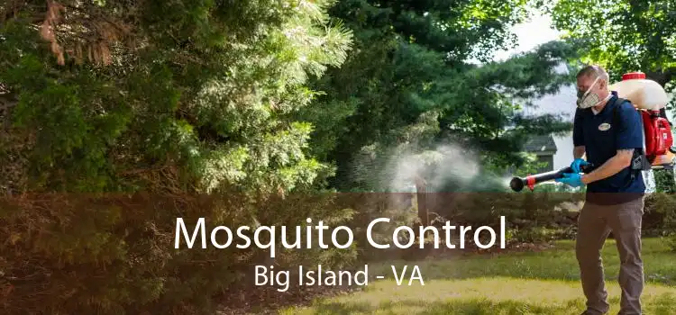 Mosquito Control Big Island - VA