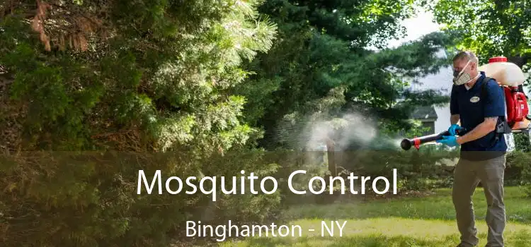 Mosquito Control Binghamton - NY