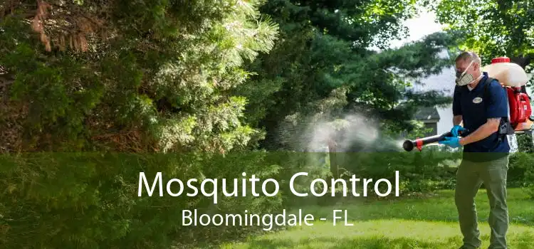 Mosquito Control Bloomingdale - FL