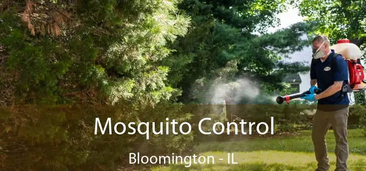 Mosquito Control Bloomington - IL