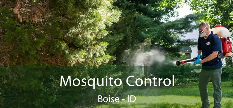  Mosquito Control Boise - ID