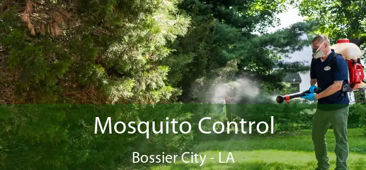  Mosquito Control Bossier City - LA
