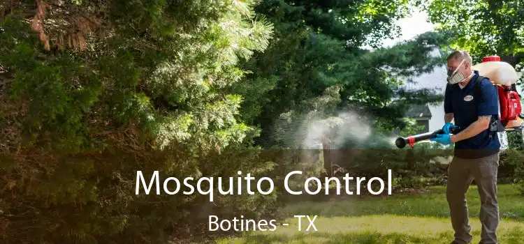  Mosquito Control Botines - TX