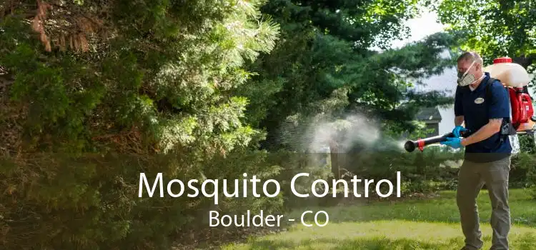 Mosquito Control Boulder - CO