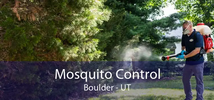 Mosquito Control Boulder - UT