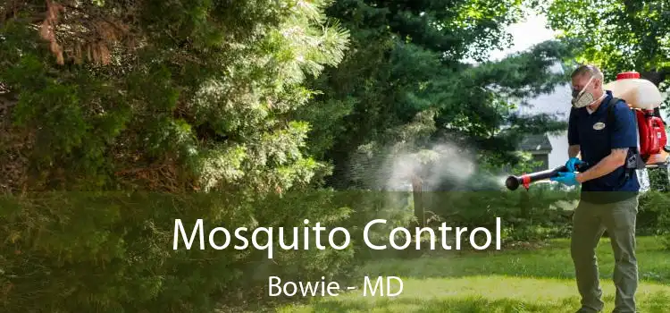  Mosquito Control Bowie - MD