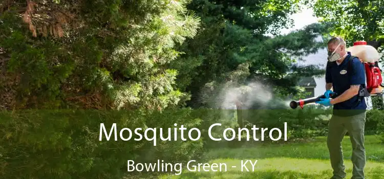 Mosquito Control Bowling Green - KY