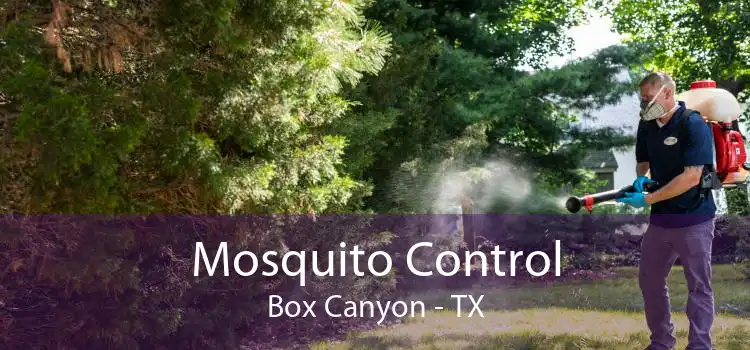 Mosquito Control Box Canyon - TX