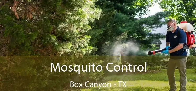  Mosquito Control Box Canyon - TX