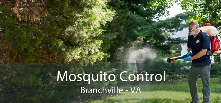 Mosquito Control Branchville - VA