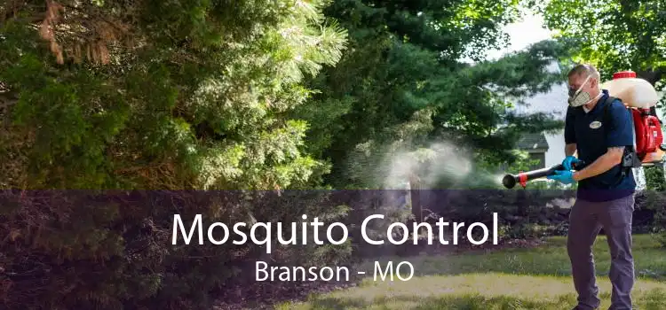 Mosquito Control Branson - MO