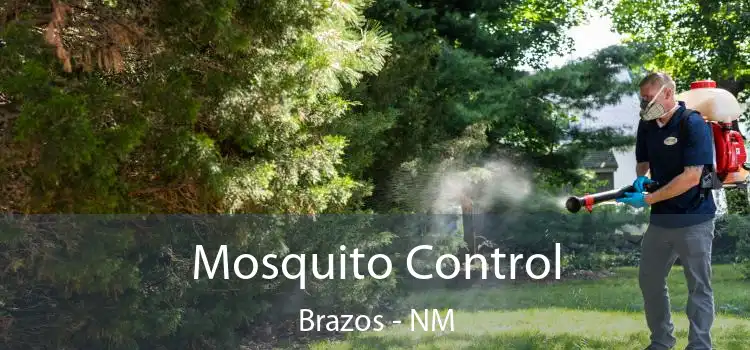  Mosquito Control Brazos - NM