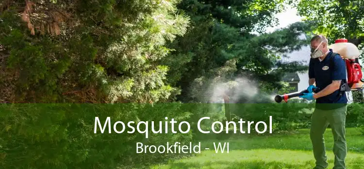 Mosquito Control Brookfield - WI