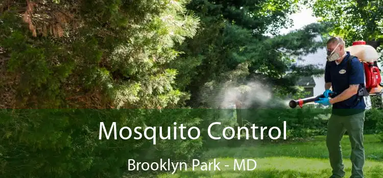 Mosquito Control Brooklyn Park - MD