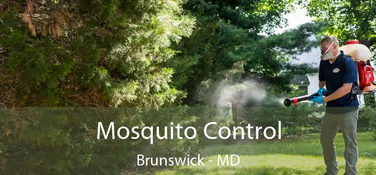  Mosquito Control Brunswick - MD