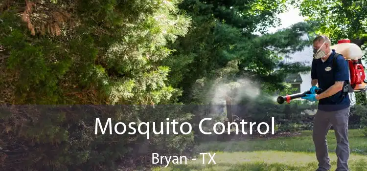  Mosquito Control Bryan - TX