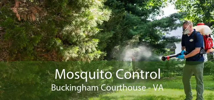 Mosquito Control Buckingham Courthouse - VA