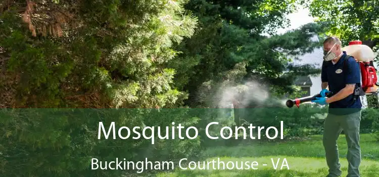  Mosquito Control Buckingham Courthouse - VA