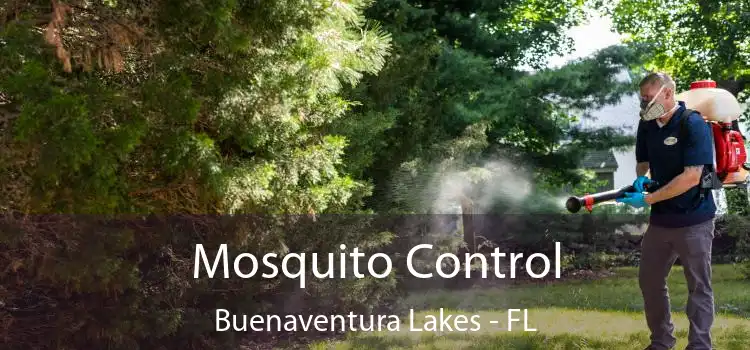  Mosquito Control Buenaventura Lakes - FL