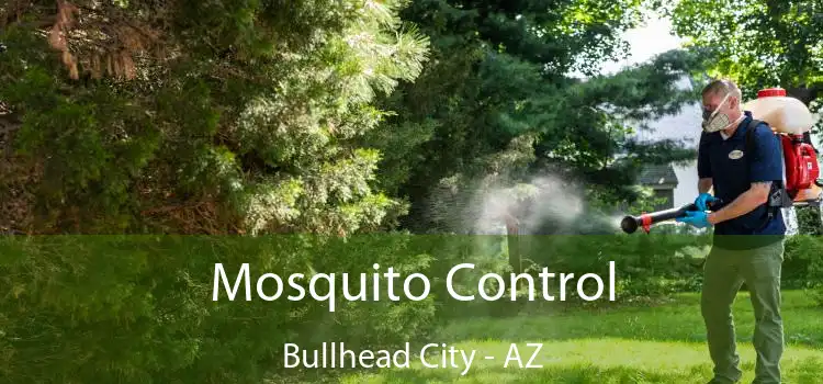  Mosquito Control Bullhead City - AZ