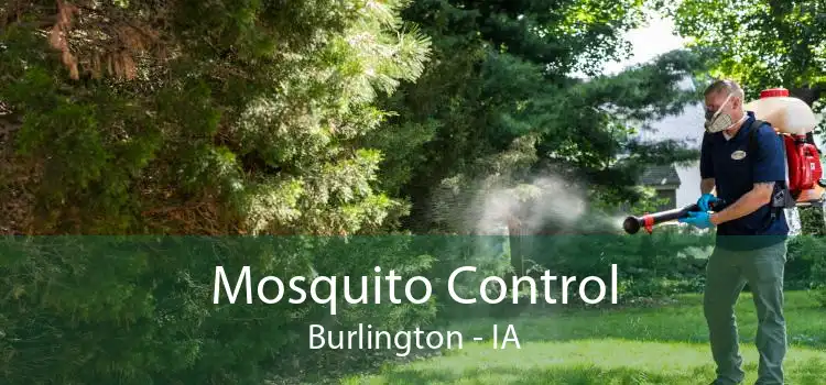 Mosquito Control Burlington - IA