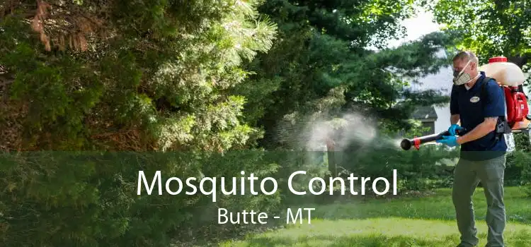 Mosquito Control Butte - MT