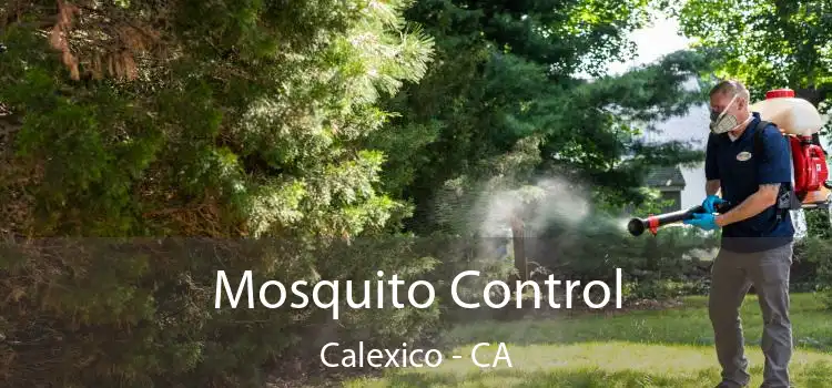  Mosquito Control Calexico - CA
