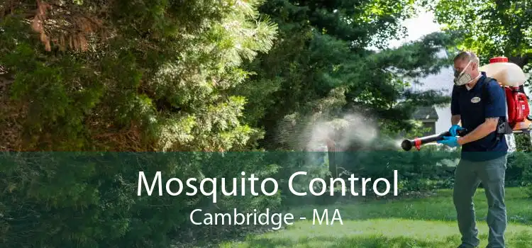 Mosquito Control Cambridge - MA