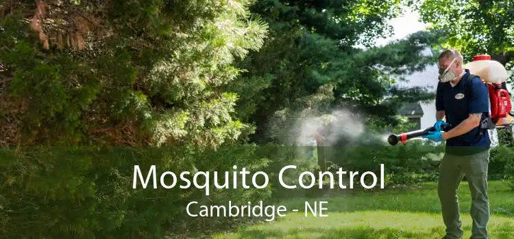 Mosquito Control Cambridge - NE