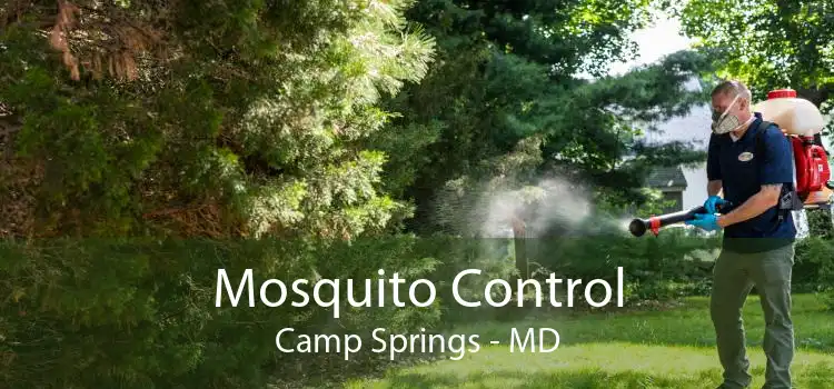 Mosquito Control Camp Springs - MD